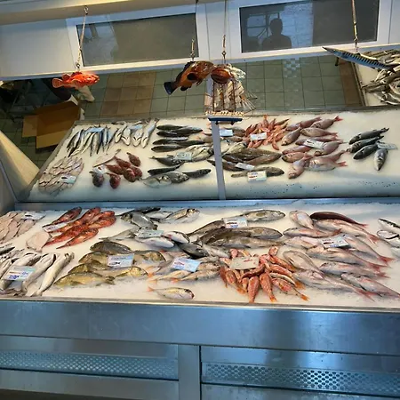 Dona * Nea Michaniona