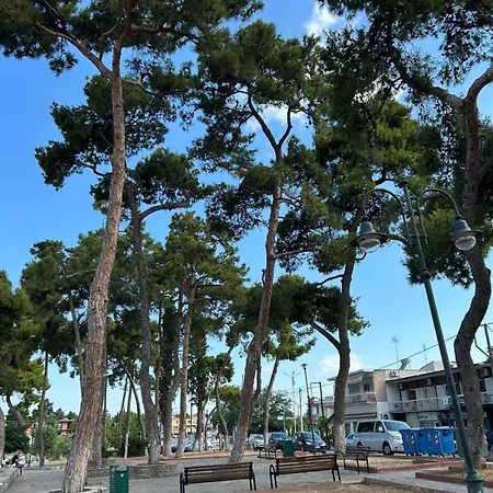 Aegean Harmony Daire